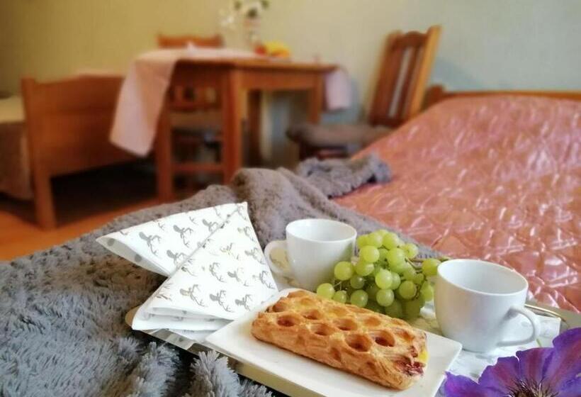 ペンション Agroturystyka U Madzi