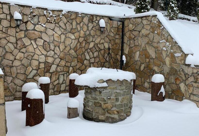 پانسیون Alpina