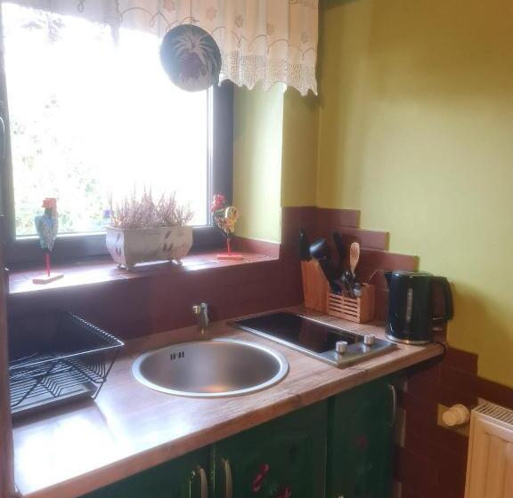 Пансион Apartamenty I Pokoje Aneta