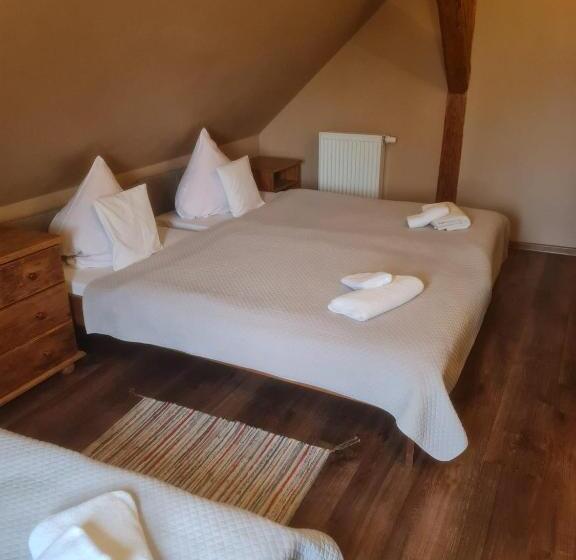 פנסיון Apartamenty I Pokoje Aneta