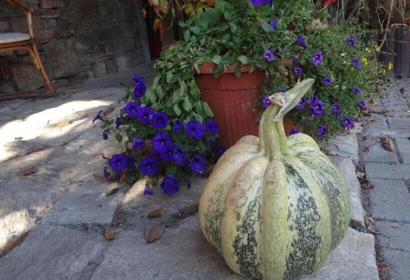 פנסיון Apartamenty I Pokoje Aneta