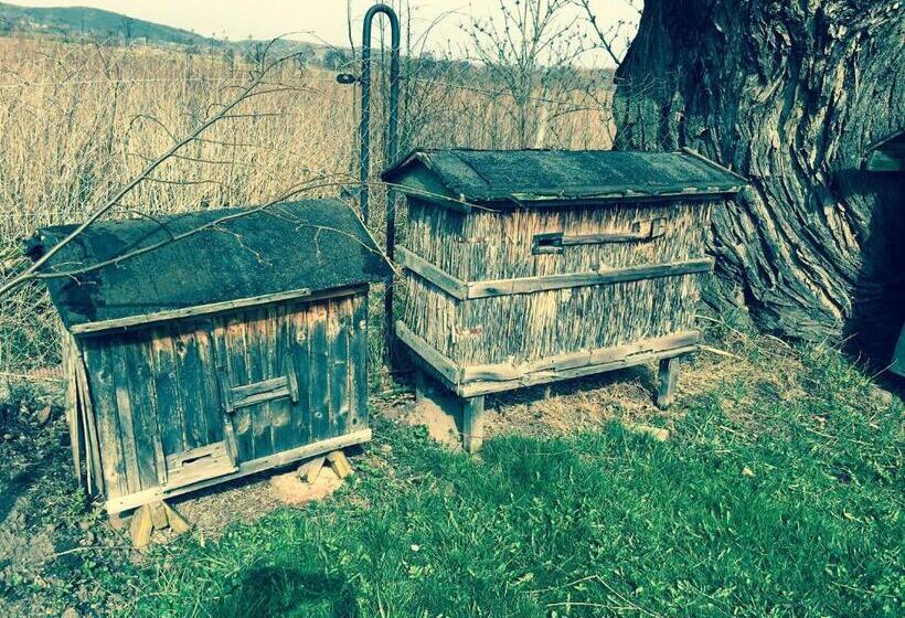 Пансион Apartamenty I Pokoje Aneta