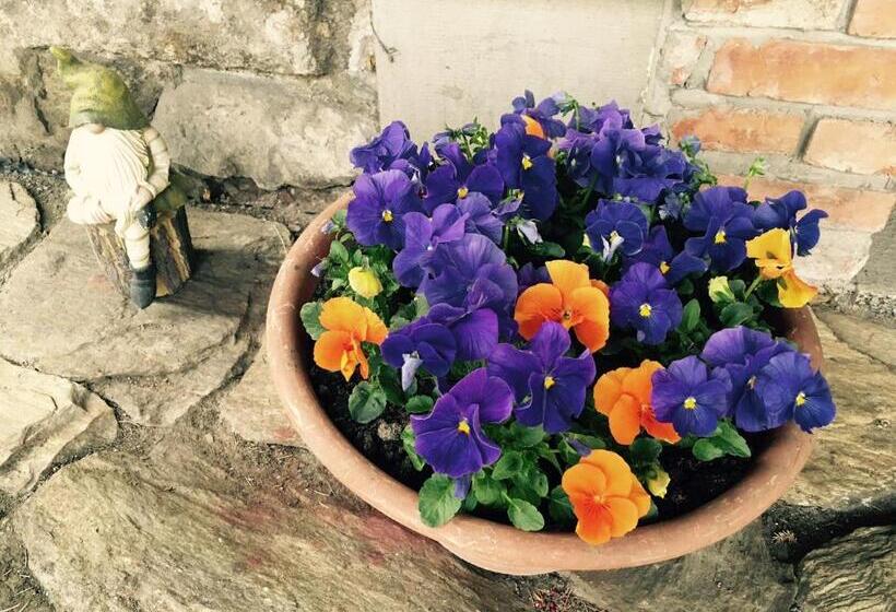 Пансион Apartamenty I Pokoje Aneta