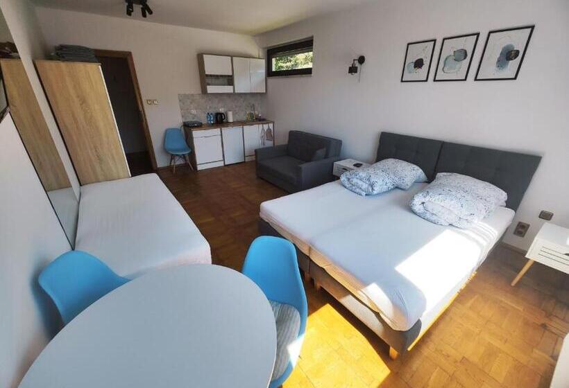 ペンション Apartamenty Monterska