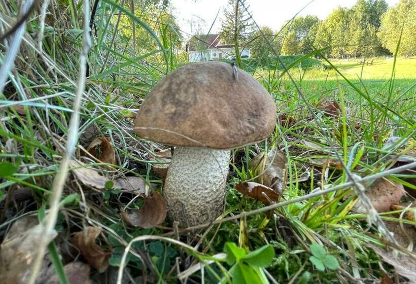 פנסיון Ataraxia Gledy