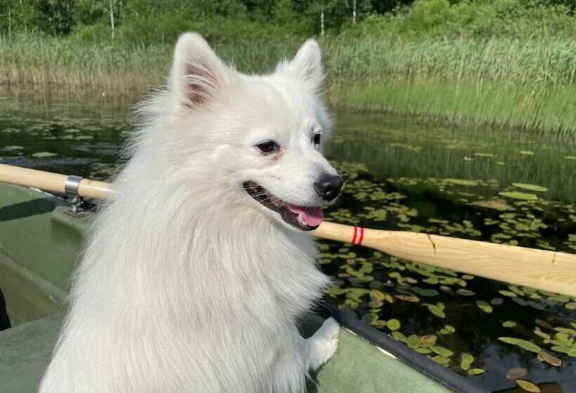 פנסיון Ataraxia Gledy