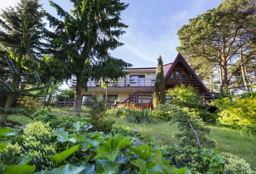 پانسیون Gniazdo. Apartamenty, Pokoje