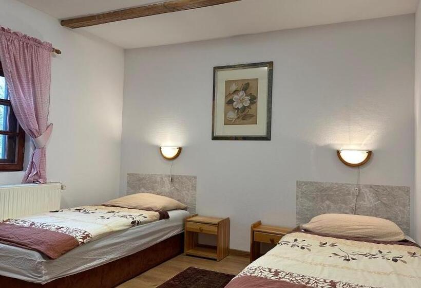 פנסיון Iwenica