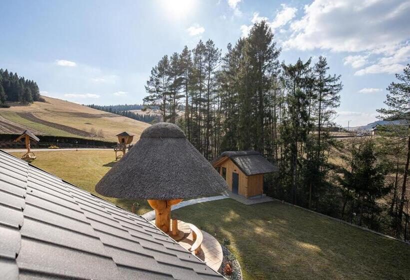 ペンション Rezydencja Spisz Dom 12 Osób, Podgrzewany Basen, Sauna, Jacuzzi  Velo Czorsztyn, Niedzica