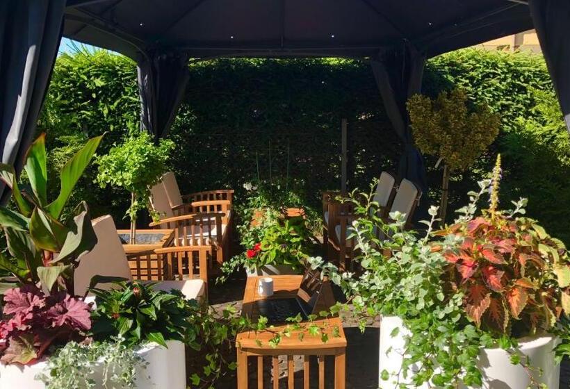 بنسيون Rosa Park