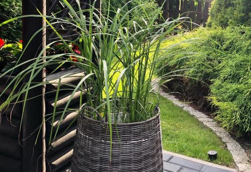 بنسيون Rosa Park