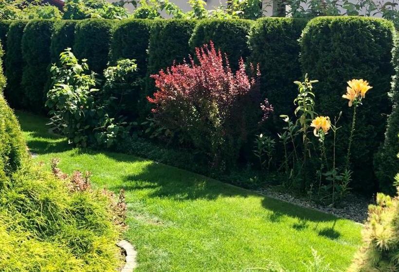 بنسيون Rosa Park