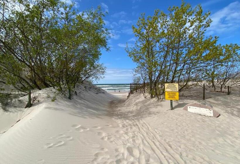 بنسيون Rosa Park