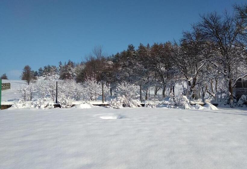 ペンション Villa Jura Pokoje Gościnne