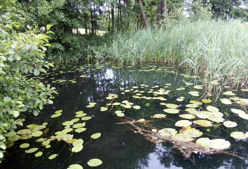 ペンション Willa Brodnica