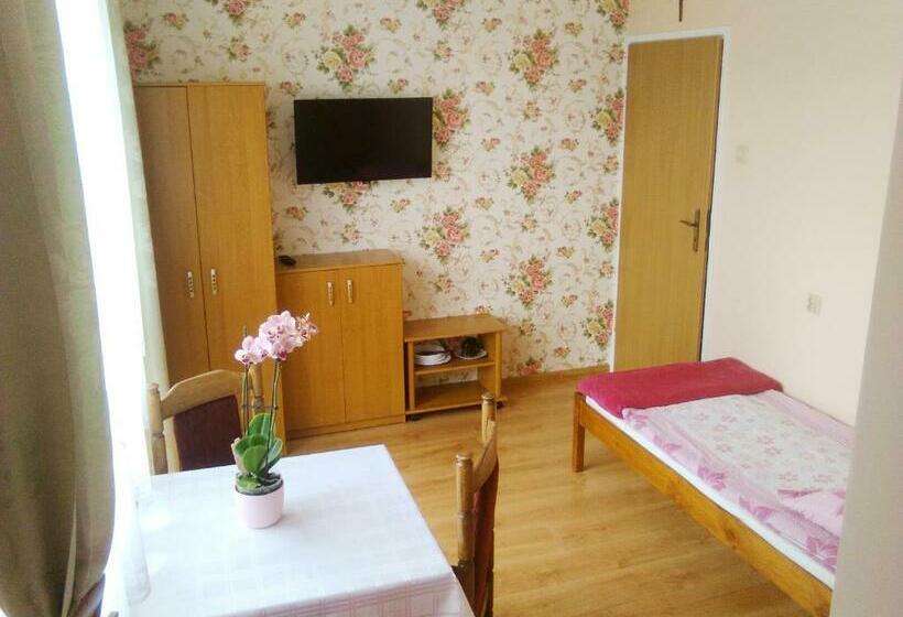 بنسيون Willa Danuta