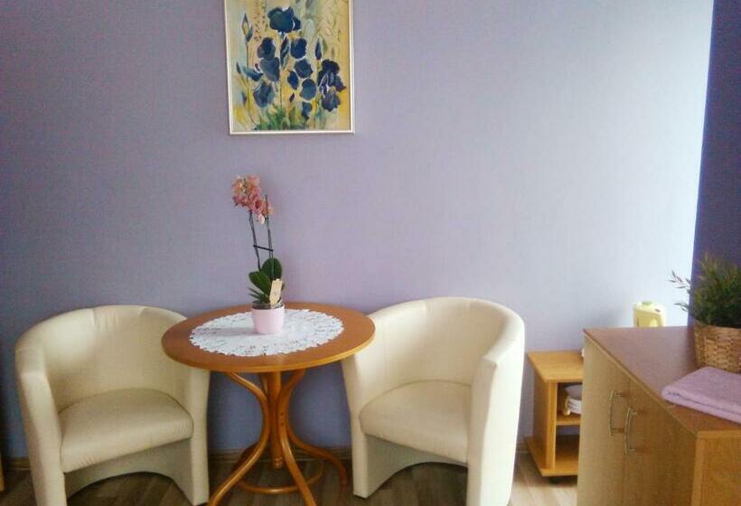 بنسيون Willa Danuta