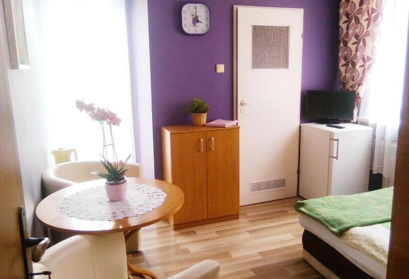 بنسيون Willa Danuta