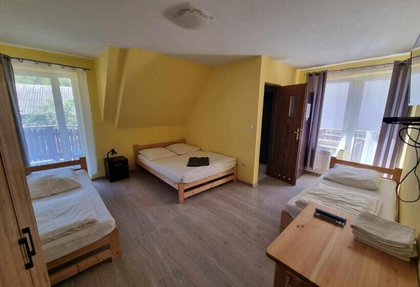 ペンション Willa Gazda