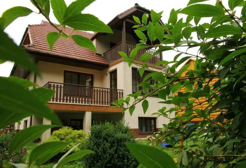 פנסיון Willa Kryspinów