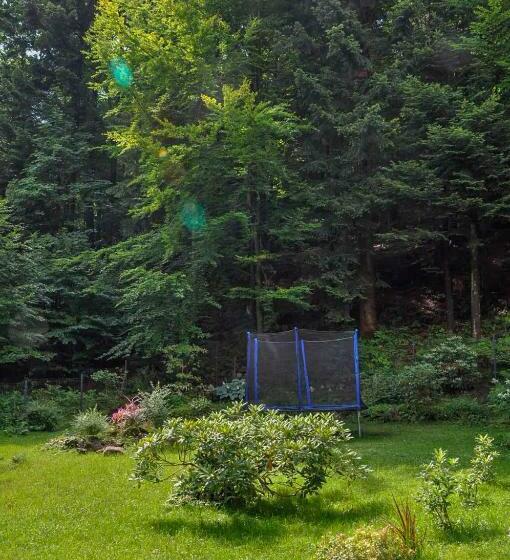 膳宿费 Willa Monti