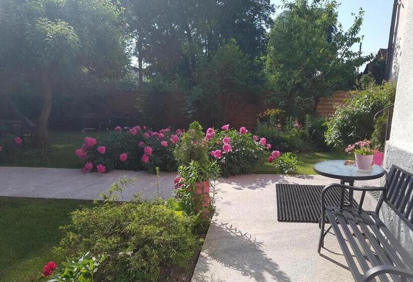 بنسيون Willa Nad Potokiem