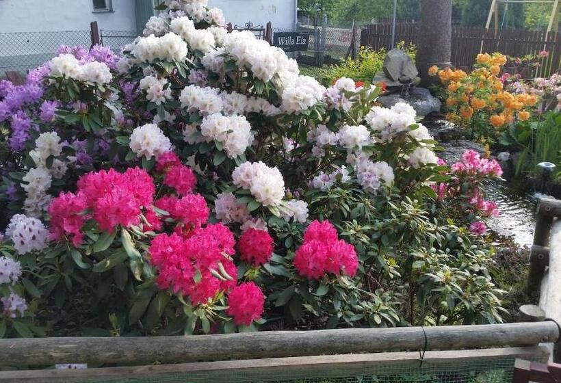 膳宿费 Willa Szarotka