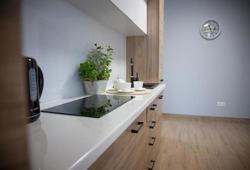 بنسيون Willa Wita