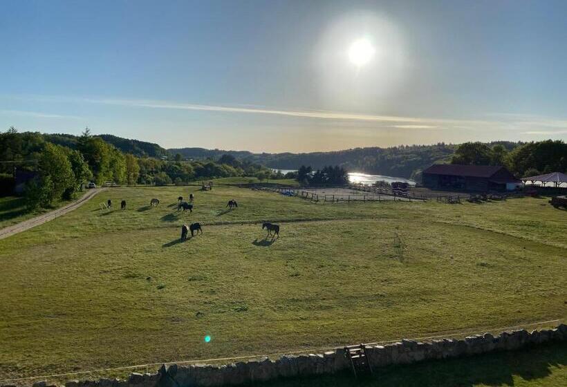 Pensjonat Kupperówka  Stadnina Koni Kolano