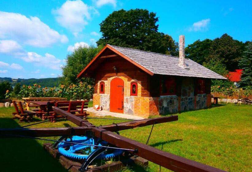 Pensjonat Kupperówka  Stadnina Koni Kolano