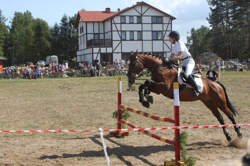 Pensjonat Kupperówka  Stadnina Koni Kolano