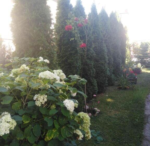 Пансион Hostel U Misiów