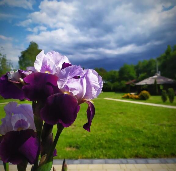 אתר נופש Ośrodek Wczasowy Wczasy Pod Gruszą