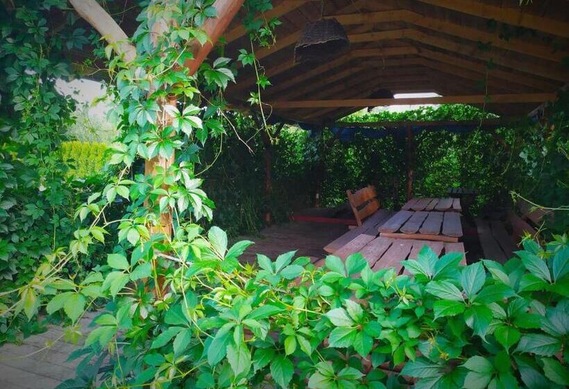 אתר נופש Ośrodek Wczasowy Wczasy Pod Gruszą