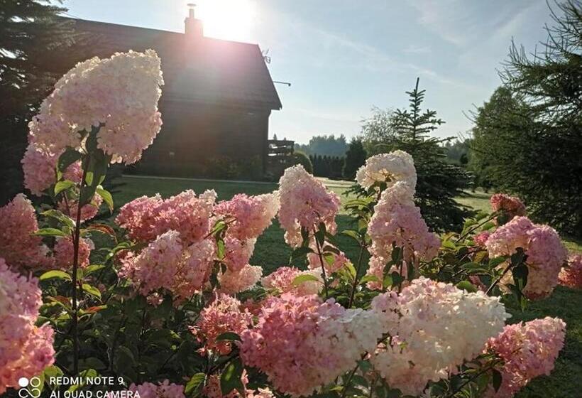 אתר נופש Ośrodek Wczasowy Wczasy Pod Gruszą