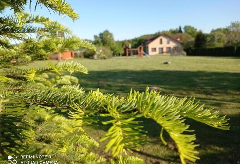 אתר נופש Ośrodek Wczasowy Wczasy Pod Gruszą