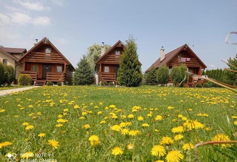 אתר נופש Ośrodek Wczasowy Wczasy Pod Gruszą