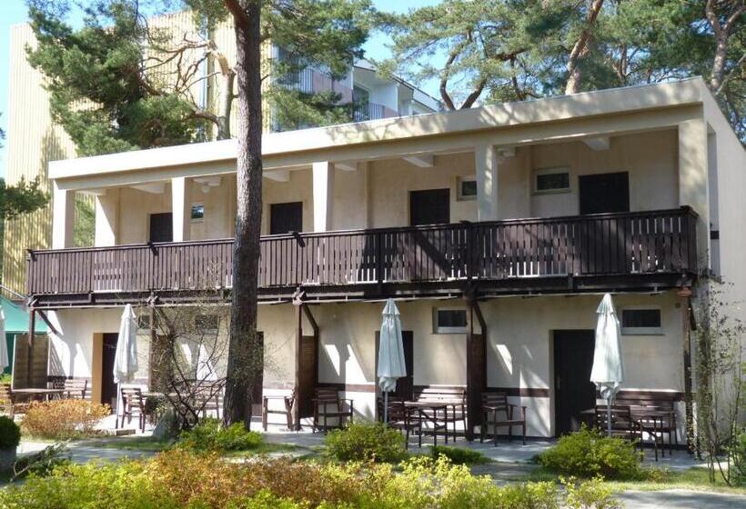 אתר נופש Ośrodek Wypoczynkowy W Sosnowym Lesie