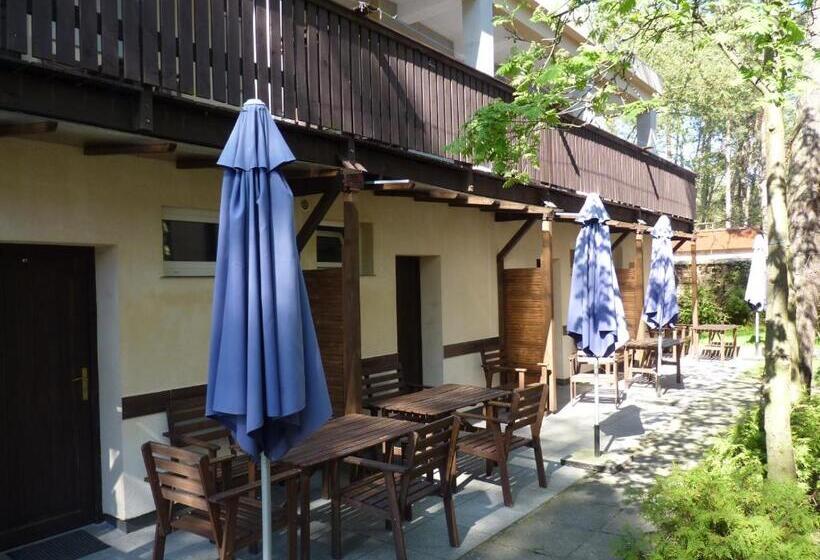 אתר נופש Ośrodek Wypoczynkowy W Sosnowym Lesie