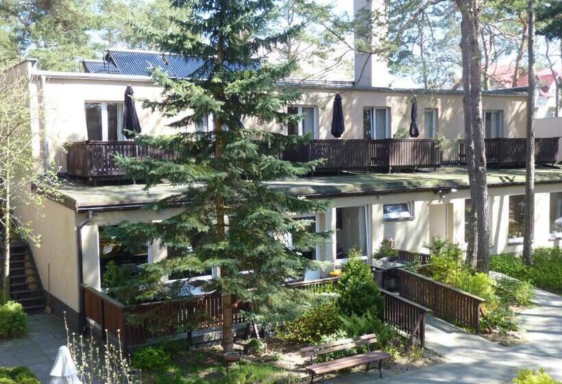 אתר נופש Ośrodek Wypoczynkowy W Sosnowym Lesie