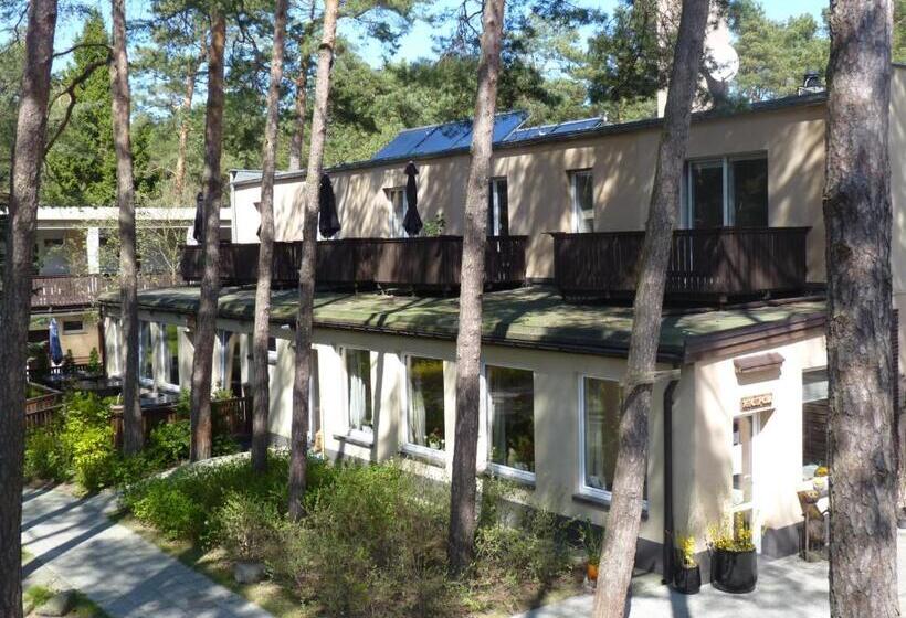 אתר נופש Ośrodek Wypoczynkowy W Sosnowym Lesie