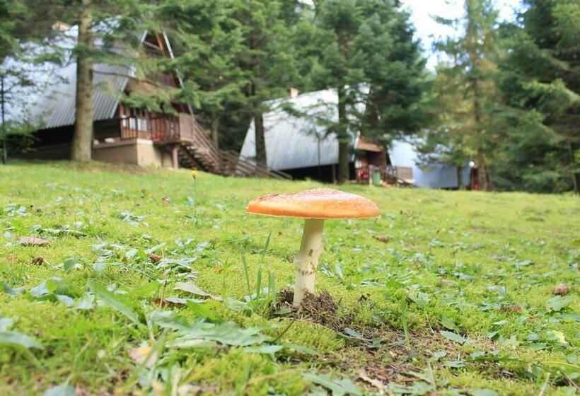 渡假胜地  Ow Wisan