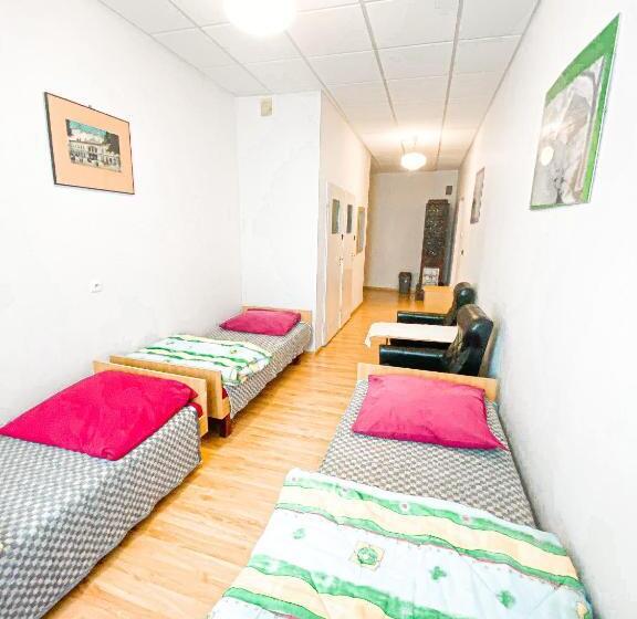 Schronisko Młodzieżowe Ptsm Alko