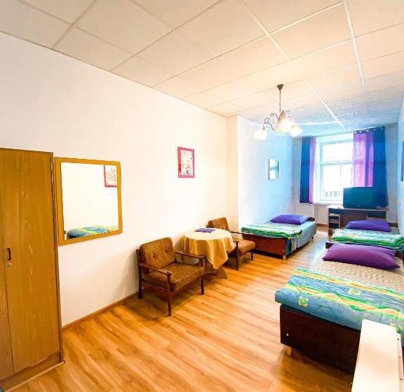 Schronisko Młodzieżowe Ptsm Alko