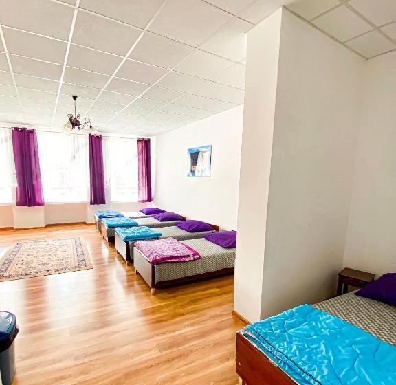 Schronisko Młodzieżowe Ptsm Alko