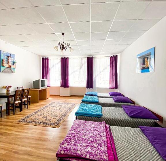 Schronisko Młodzieżowe Ptsm Alko