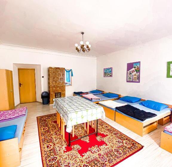 Schronisko Młodzieżowe Ptsm Alko