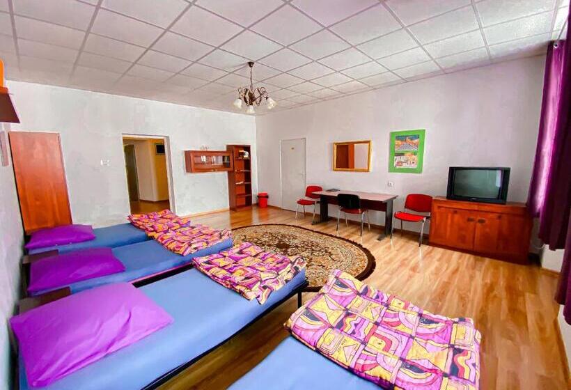 Schronisko Młodzieżowe Ptsm Alko