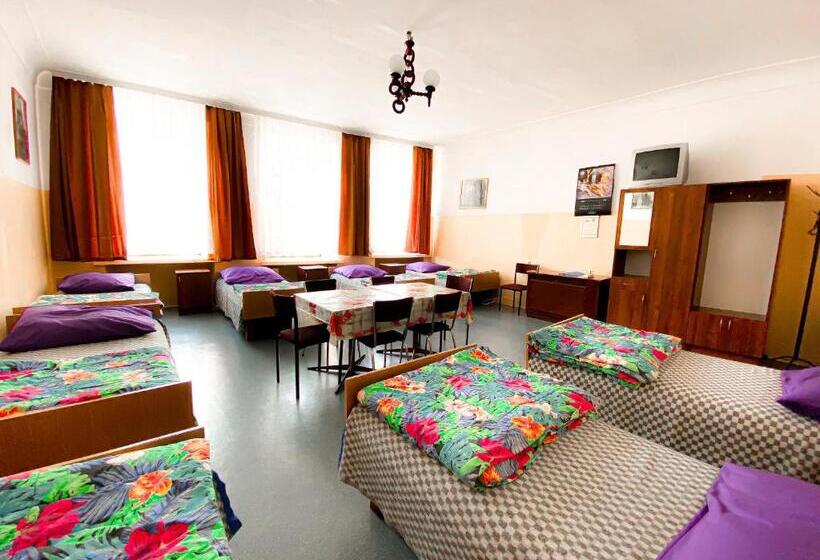 Schronisko Młodzieżowe Ptsm Alko