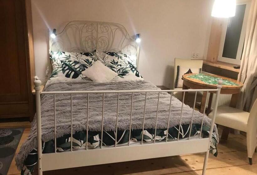 Willa Jasna Apartamenty Centrum Zakopane